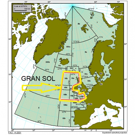 HF-750 - ANTENA HF OMNI BASE 1.4⁠-⁠30 MHz - 